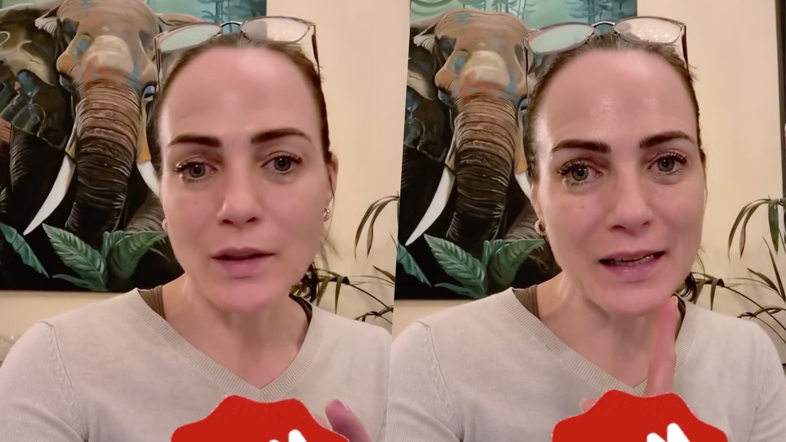 Adriana Kneissl upozornila na podvod. 