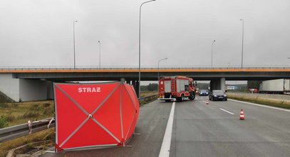 Koszmar na drodze pod Łodzią. Chciał pomóc i wysiadł z auta. Chwilę później doszło do tragedii...