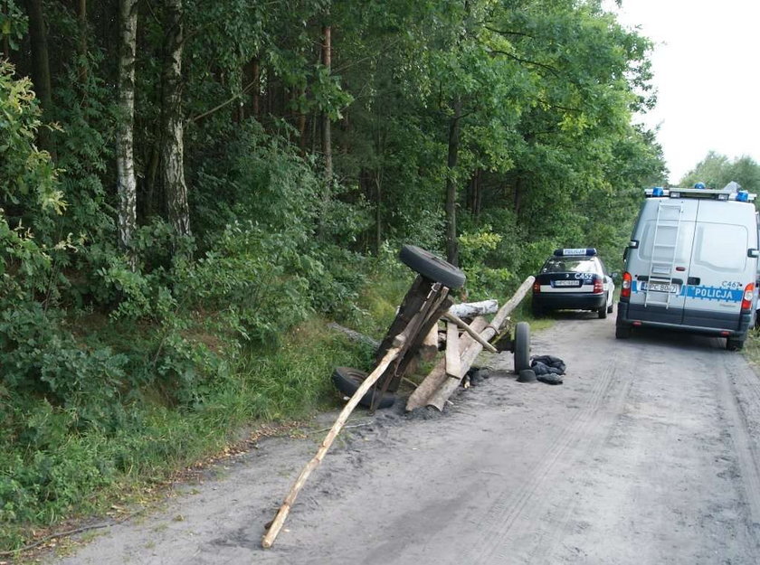 Koń się zderzył z traktorem