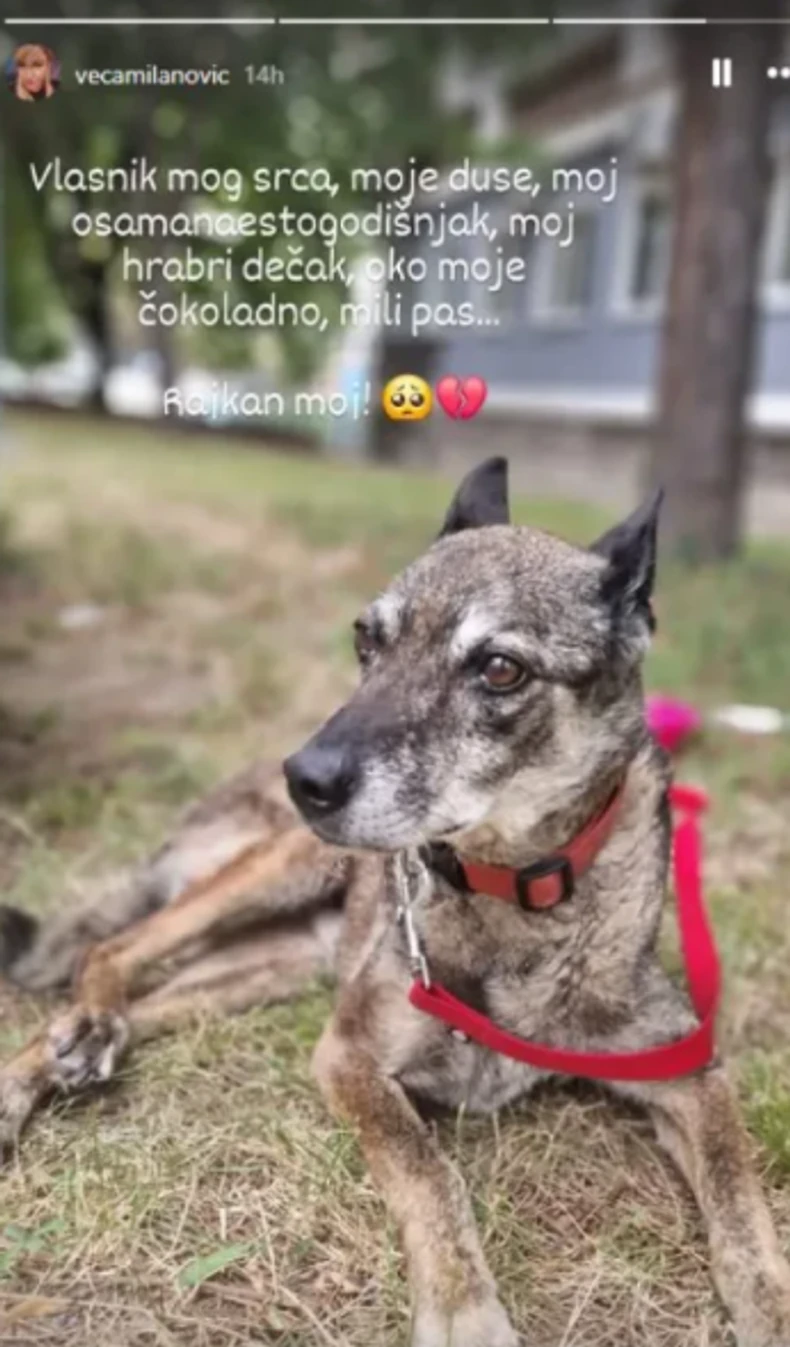 Objava Vesne Milanović