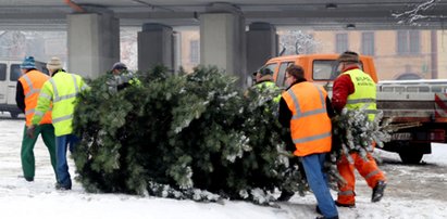 Świąteczne choinki posprząta miasto