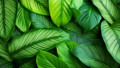 Biologiczne wyzwanie: Rozwiąż quiz i sprawdź swoją wiedzę!