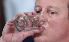 Pokłosie afery? Cameron przyznaje, że miał udziały w funduszu na Bahamach