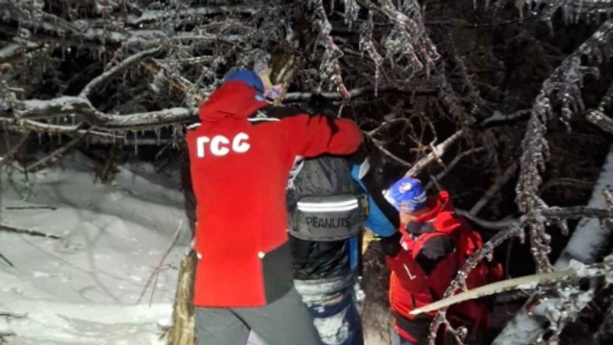 Gorska služba spasavanja