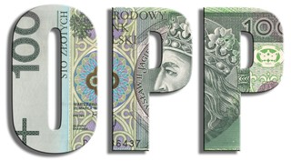 Mniej OPP będzie poddawać swoje sprawozdania badaniu