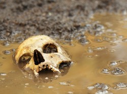 Co kobiety robiły w zakonie Benedyktynów? Tajemnicze szczątki w kryptach