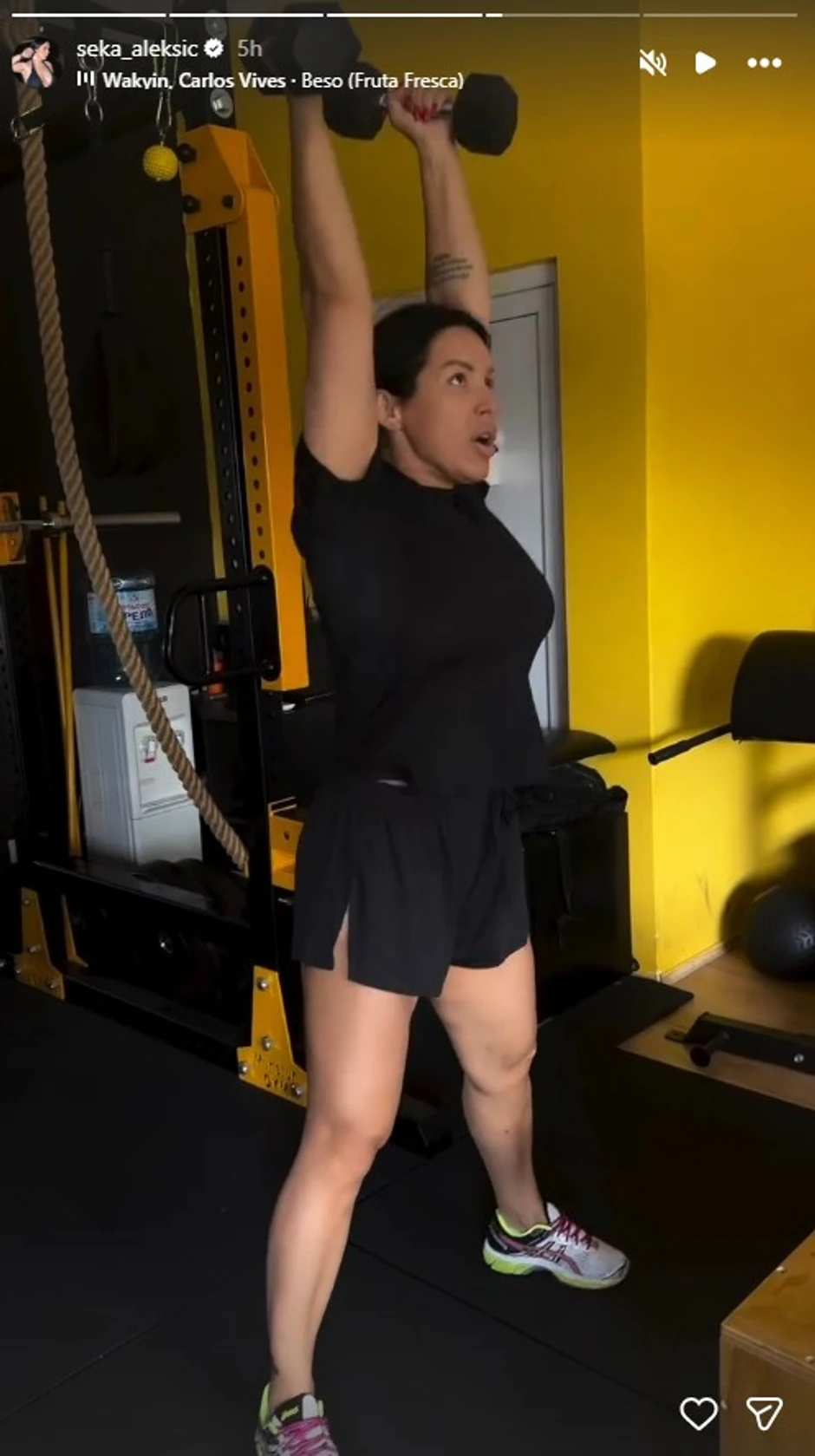 Seka Aleksić