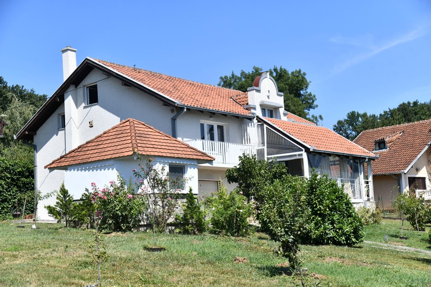 Verica Rakočević