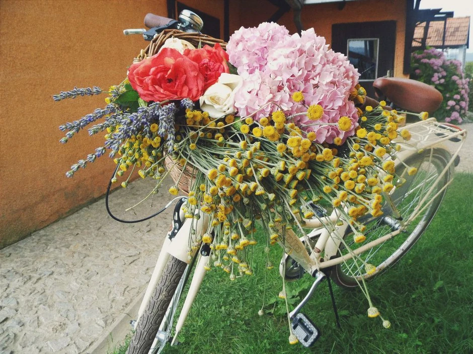 Kao zaljubljenik u cvetnu dekoraciju i uređenje zelenih površina, s posebnim osvrtom na slobodni engleski stil i viktorijanski govor cveća, Nevena deo slobodnog vremena provodi u porodičnoj cvećari Kamelija