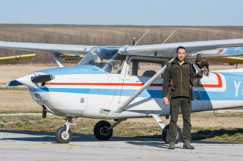 Hani sa svojim pticama