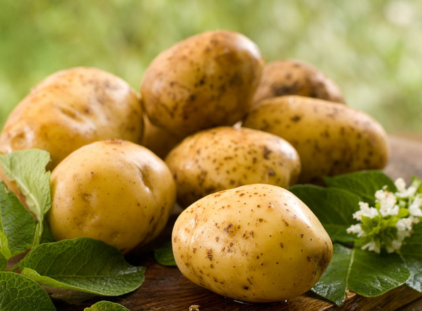 Sok z ziemniaków zawiera unikalną substancję, która leczy wrzody żołądka