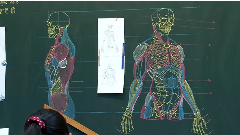 Najlakši način da se savlada ljudska anatomija