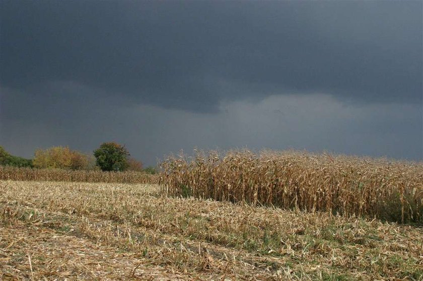 Prognoza pogody. Jeszcze będzie słonecznie! Aż do... 