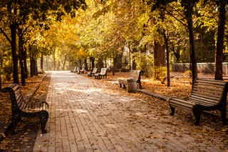 Miejski park to nie teren budowlany