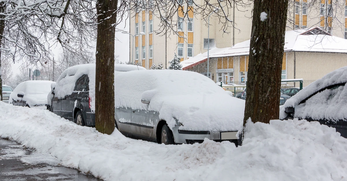 Ostra zima uderzy w Polskę! Wrócą intensywne śnieżyce. Jest konkretna data