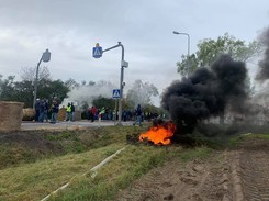 Protest rolników. Lider AgroUnii skuty kajdankami przez policję. Zobacz WIDEO