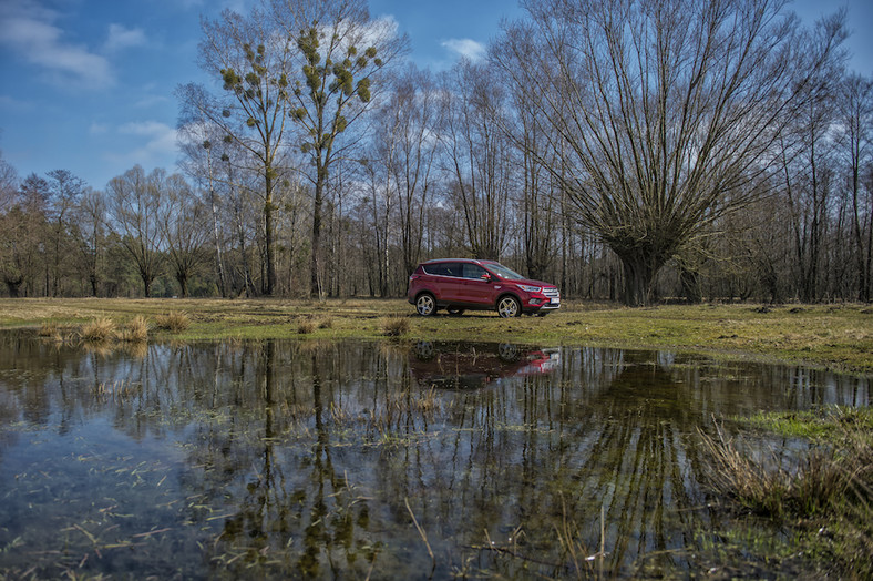 Nowy Ford Kuga