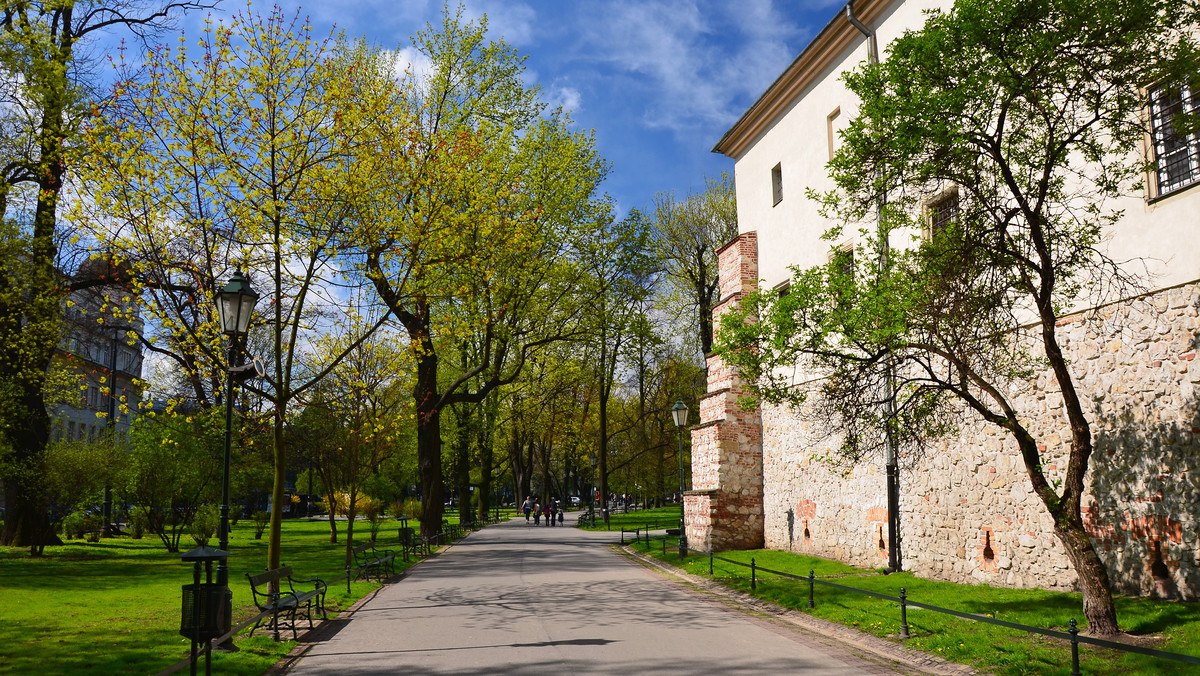 Każdy, komu w Krakowie urodzi się dziecko, będzie mógł posadzić pamiątkowe drzewo. Władze miasta wskazały sześć lokalizacji, w których powstaną „Parki krakowian”. Tereny te mają w sumie ok. 35 ha, zmieści się tam 7 tys. drzew.