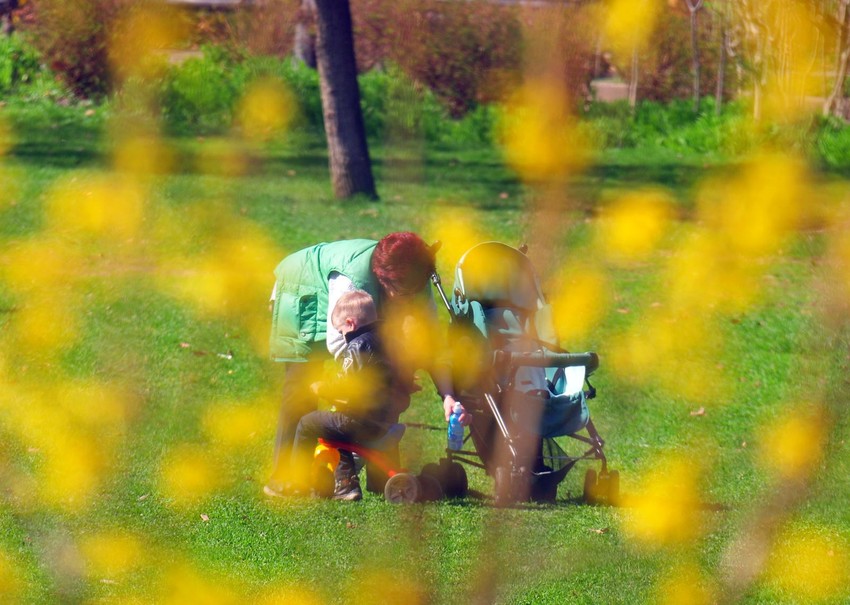 Proleće u Novom Sadu