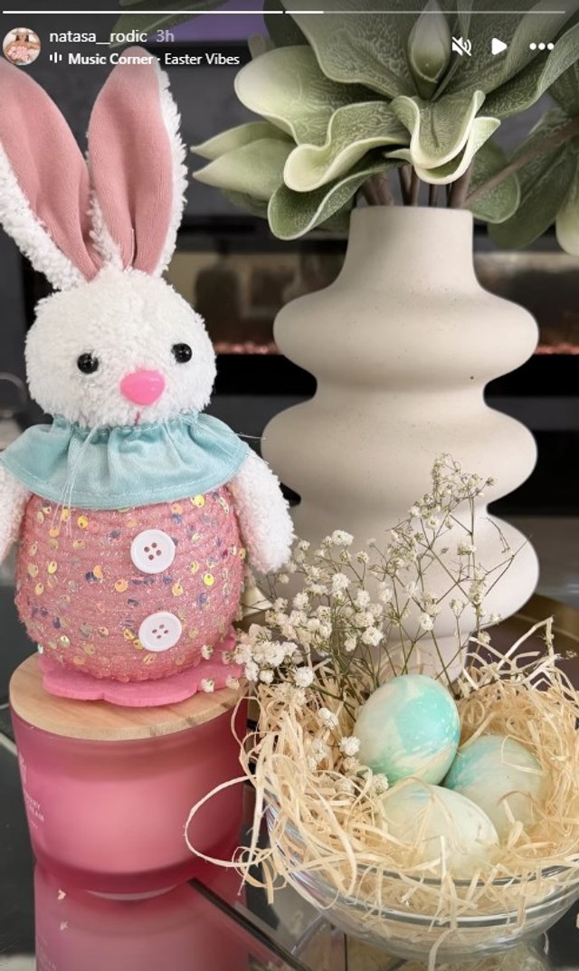 Nataša Rodić (Foto: Instagram/natasa__rodic)