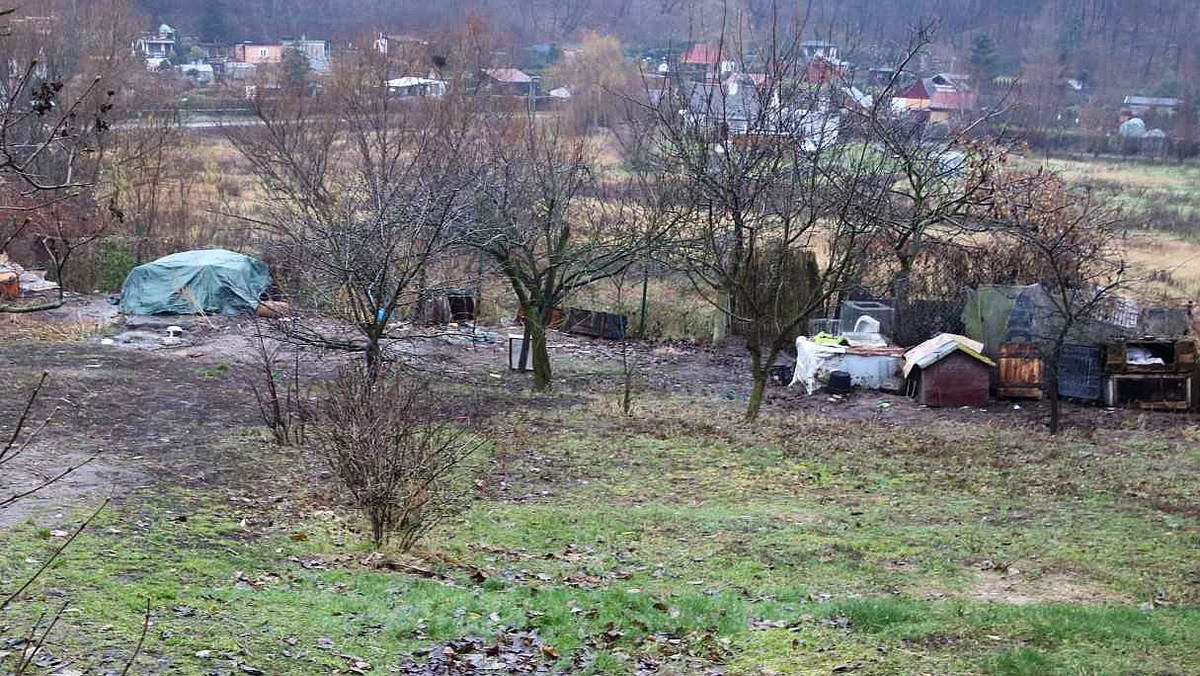 Spacerujący w pobliżu ogródków działkowych mieszkaniec Chełmna dokonał makabrycznego odkrycia. Na nieruchomości jednego z hodowców leżały zwłoki kilkunastu psów. Przy życiu uchowało się ledwie kilka zwierząt.