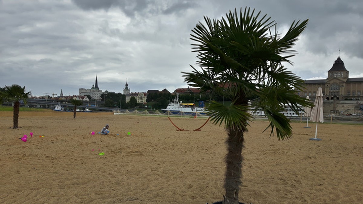 Wkrótce na plażę na Wyspie Grodzkiej ma przypłynąć specjalny portowy kontener, który ma być wykorzystywany jako strefa gastronomiczna. Do tego kino plażowe, występy kabaretów, koncerty i mnóstwo innych wydarzeń - takie plany na sezon letni ma gospodarz Miejskiej Strefy Letniej.