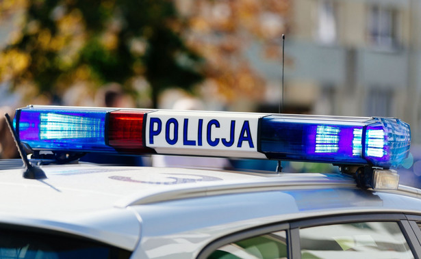 Polska policja, policyjny radiowóz