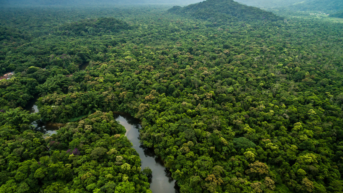 Amazonia: wylesianie przyspieszyło dwukrotnie w ciągu roku