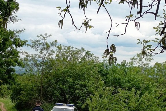 (FOTO,VIDEO) DRAMA U VINOGRADU KOD JAGODINE JOŠ TRAJE Policija ogradila njivu na kojoj je pronađena BOMBA: Očekuje se dolazak kontradiverzione jedinice