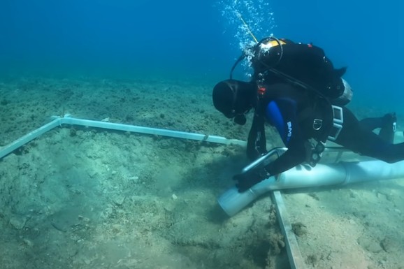 NEVEROVATNO OTKRIĆE Na Bahamima pronađeni ostaci brodova pirata Crnobradog i kaliko Džeka Rekama