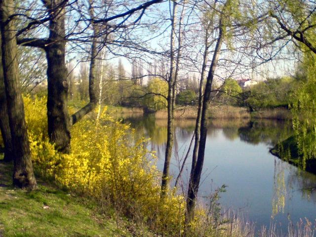 venaaa - Park Szczę¶liwicki, Warszawa.