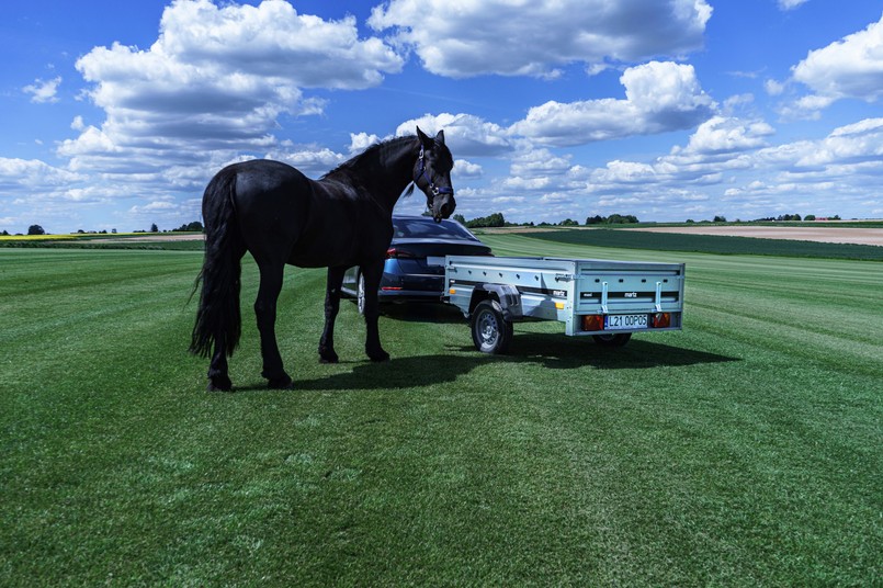 przyczepki, przewóz