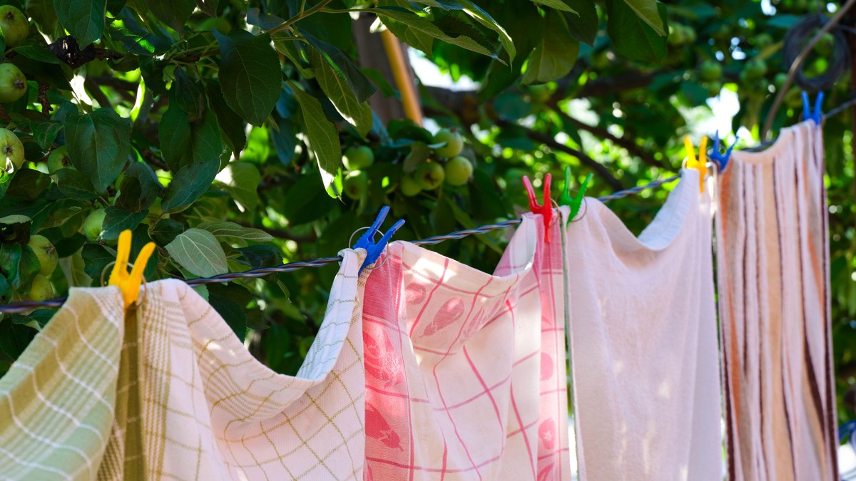 Krpe odlaze u penziju, novi trend za brisanje prašine je genijalan i besplatan