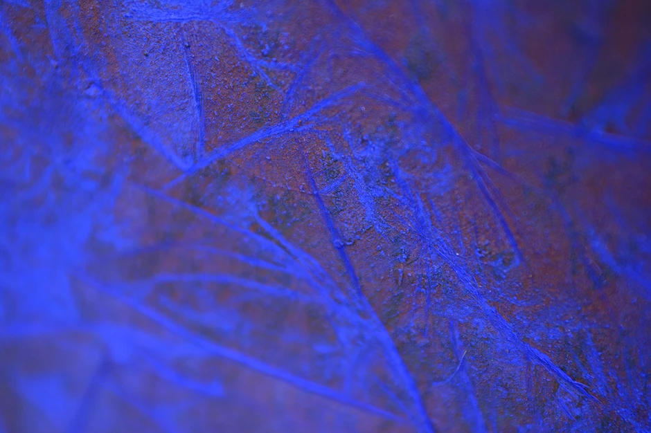 Fantastični predeo, detalj