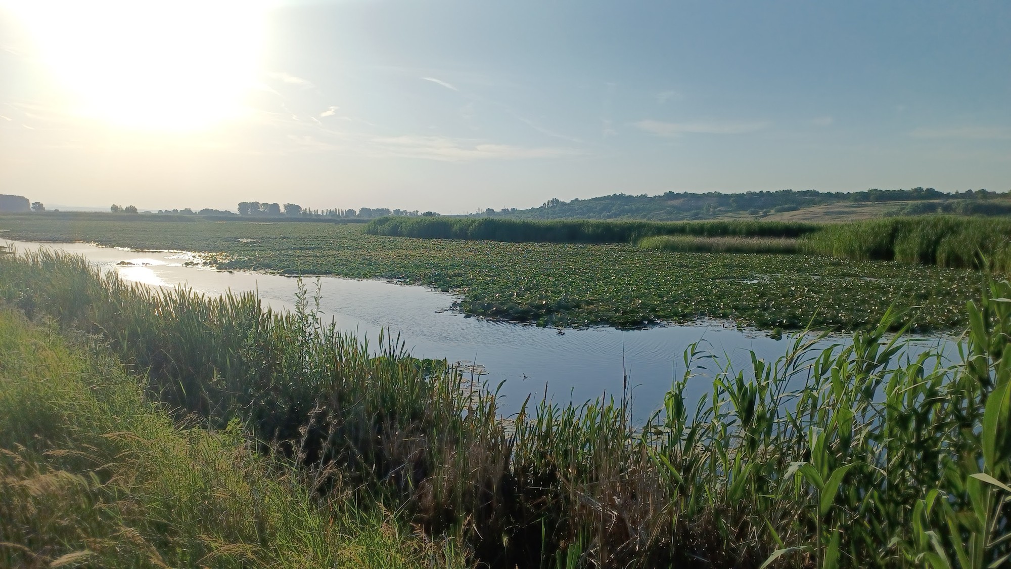 Ako projekt Living Danube pomáha obnovovať mokrade na Slovensku a v Rumunsku