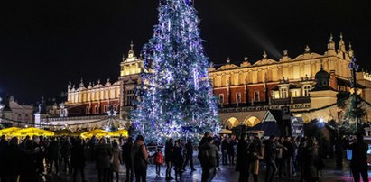 Już jest! Na Rynku Głównym w Krakowie rozbłysła choinka