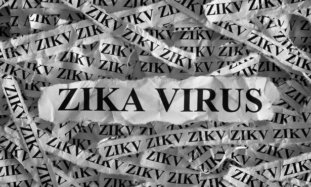 Jak ustrzec kobiety w ciąży przed wirusem Zika? Katalonia ma plan