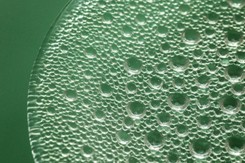 Uchodził za 'kryształ dla ubogich'. Dziś ten wazon z czasów PRL jest wart nawet 10 tys. zł