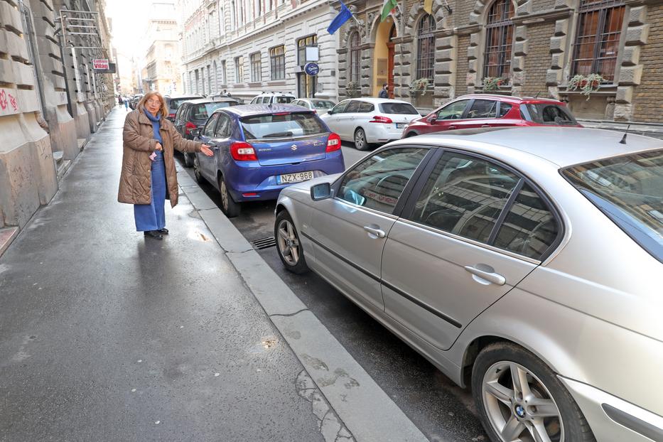 Megmutatta lapunknak az asszony, hol tudott félreállni/ Fotó: Varga Imre