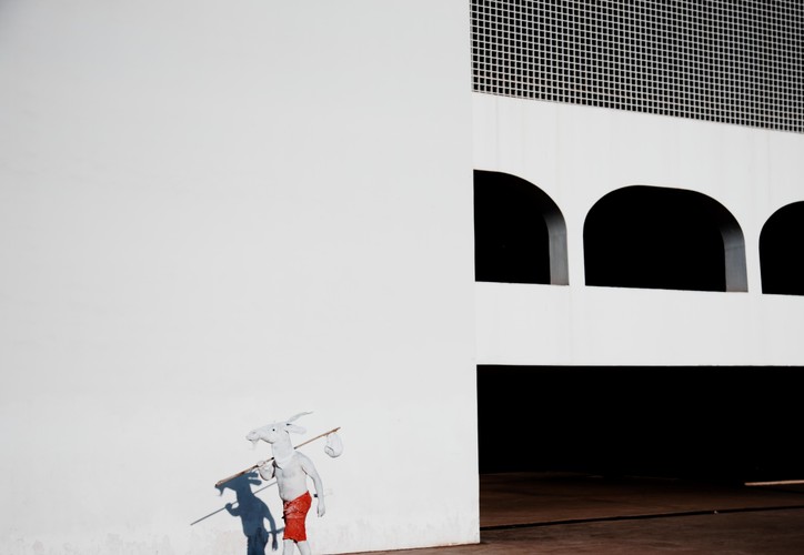 I miejsce w kategorii LUDZIE (fotoreportaż): Michał Szlaga. Fotoreportaż z akcji artystycznej „Koziołek 2011” przeprowadzonej w Brasilii przez polskiego artystę Pawła Althamera. Wcielił się on na jeden dzień w postać Koziołka Matołka i zwiedzał stolicę Brazylii. Spacerując, intrygował mieszkańców, pozował z nimi do zdjęć, podziwiał architekturę, jednym słowem – poznawał nowy ląd. 19 czerwca 2011