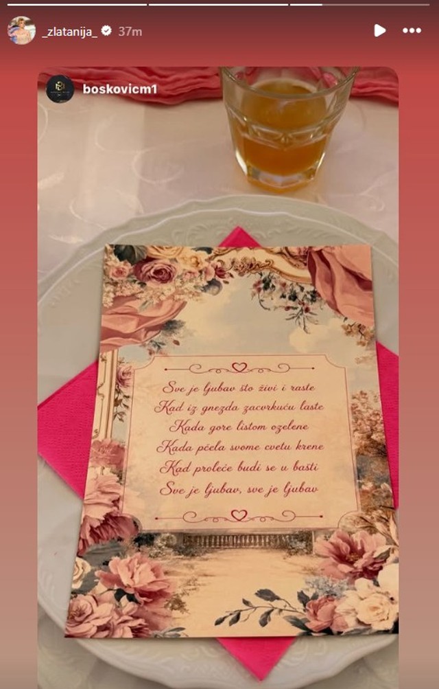 Zorica Brunclik (Foto: Instagram/zoricabrunclik_official/_zlatanija_)