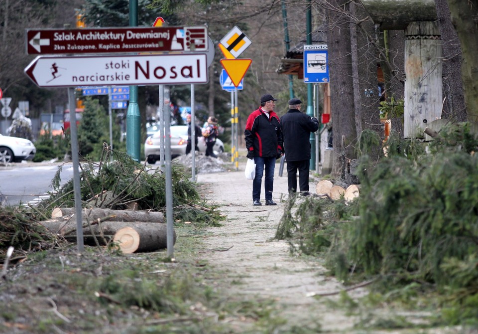 Powalone drzewa, zniszczone domy. Wielkie sprzątanie w Zakopanem