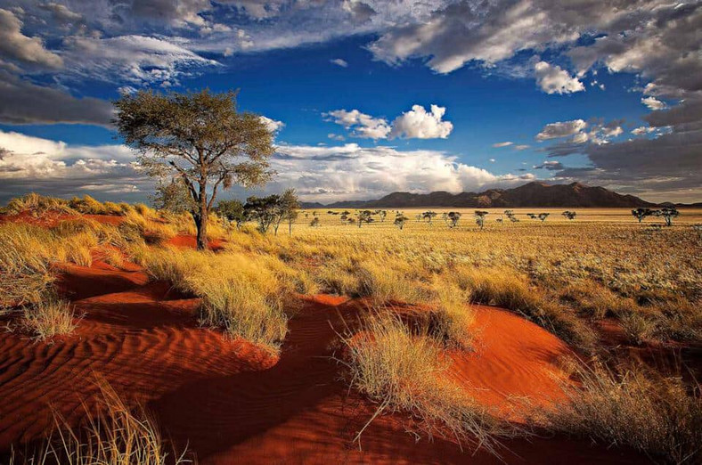Park Narodowy w Namibii 
