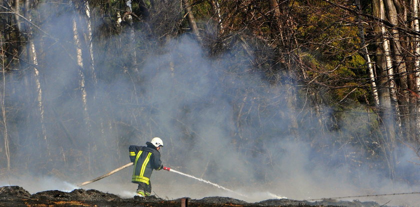 Tragedia na Podhalu. Strażacy znaleźli zwłoki w trawie