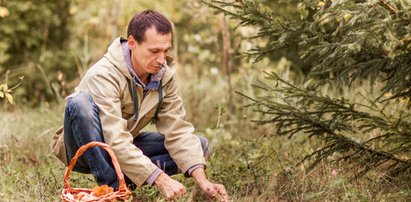 Zbierasz grzyby? Sprawdź, które z nich są trujące, a wyglądają podobnie do jadalnych