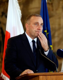 Schetyna łagodzi stanowisko? Grupa Wyszehradzka jeszcze podzielona w sprawie Ukrainy