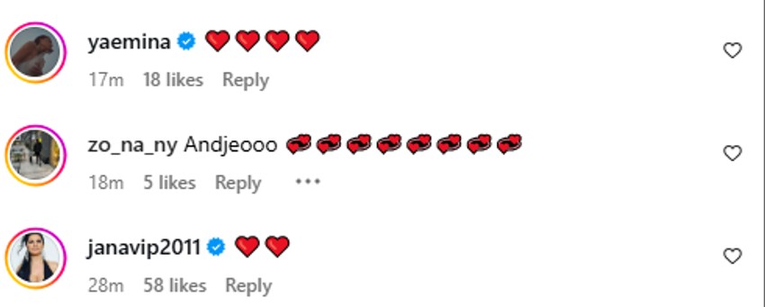 Estrada čestita rođenje Arije