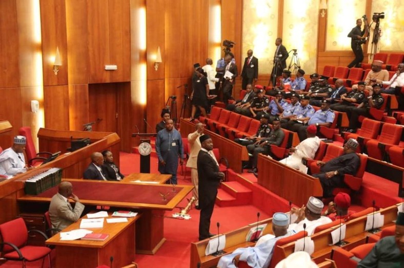 The Nigerian Senate in session [naijapolity]