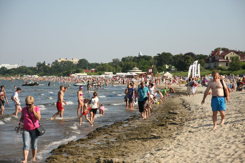 Na plaży w Sopocie pojawiły się wodorosty