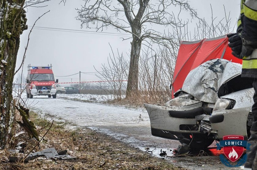 Samochód uderzył w drzewo. Wypadek pod Łowiczem